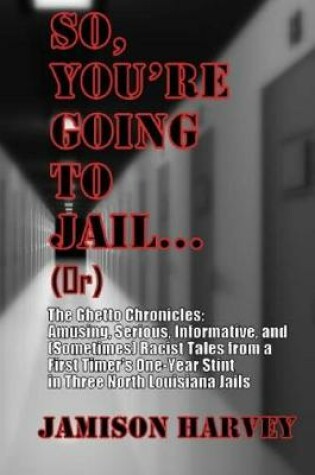 Cover of So, You're Going to Jail...