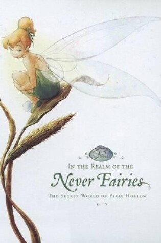 Cover of In the Realm of the Never Fairies