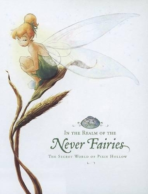Cover of In the Realm of the Never Fairies