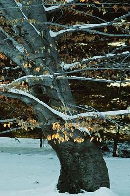 Cover of Winter Theme Journal Snowy Tree