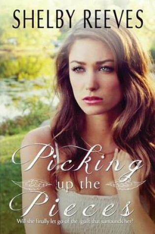 Cover of Picking up the Pieces
