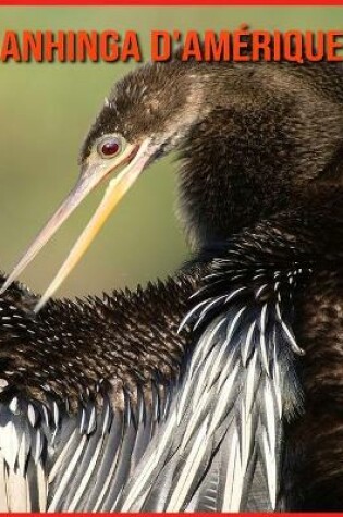 Cover of Anhinga d'Amérique