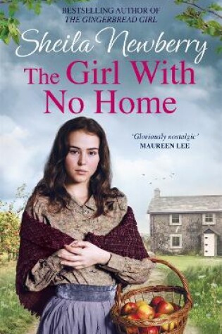 Cover of The Girl With No Home