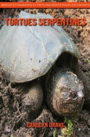 Cover of Tortues Serpentines