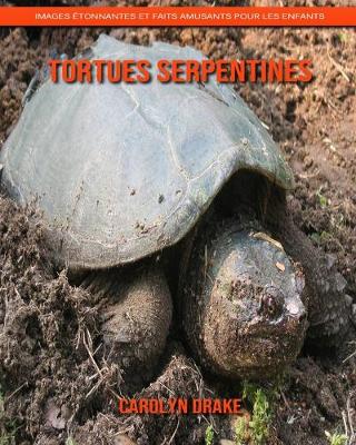 Book cover for Tortues Serpentines
