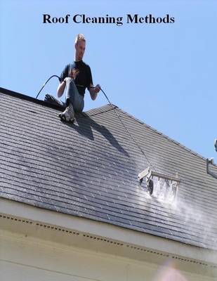 Book cover for Roof Cleaning Methods