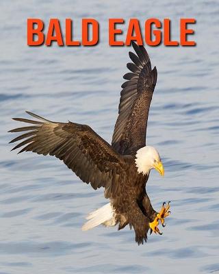 Book cover for Bald Eagle