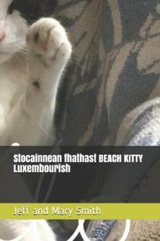 Cover of Stocainnean fhathast BEACH KITTY Luxembourish