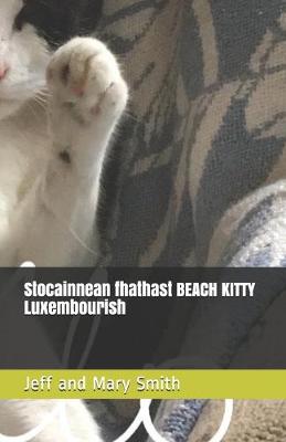 Cover of Stocainnean fhathast BEACH KITTY Luxembourish