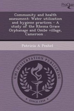 Cover of Community and Health Assessment: Water Utilization and Hygiene Practices - A Study of the Rhema Grace Orphanage and Ombe Village