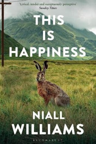 Cover of This Is Happiness