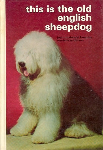 Book cover for This is the Old English Sheepdog