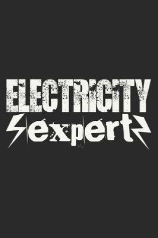 Cover of Electricity Expert