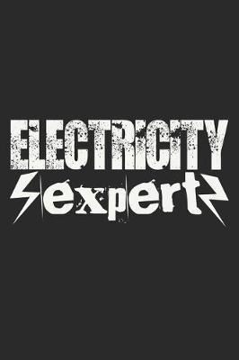 Book cover for Electricity Expert