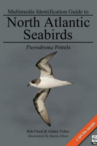 Cover of Pterodroma Petrels