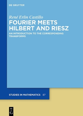 Book cover for Fourier Meets Hilbert and Riesz