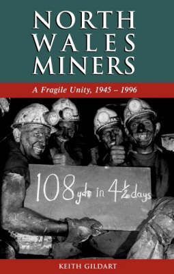 Book cover for North Wales Miners