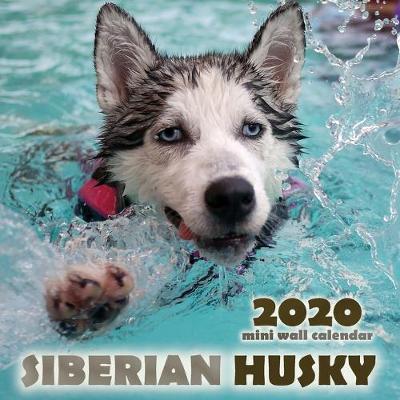 Book cover for The Siberian Husky 2020 Mini Wall Calendar