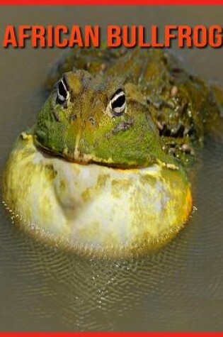 Cover of African Bullfrog