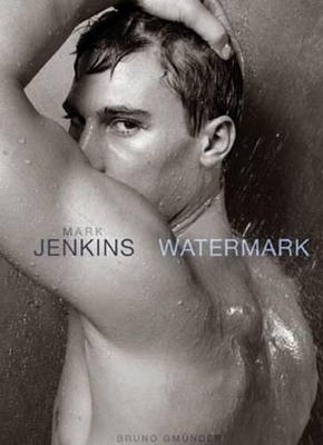 Book cover for Watermark