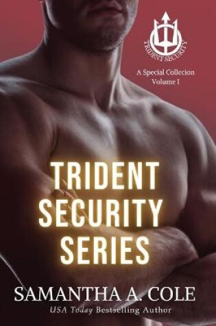 Cover of Trident Security Series