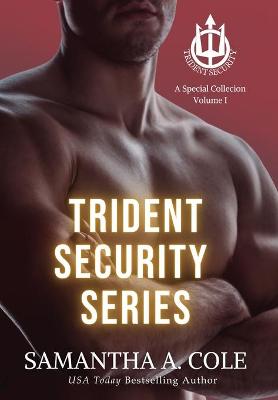 Book cover for Trident Security Series