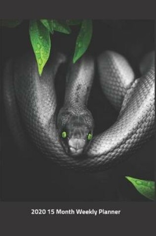 Cover of Plan On It 2020 Weekly Calendar Planner - Green Eyed Snake