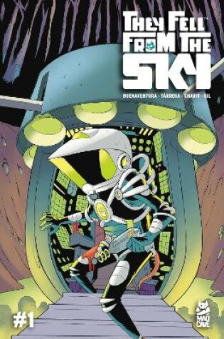 Cover of They Fell from the Sky #1