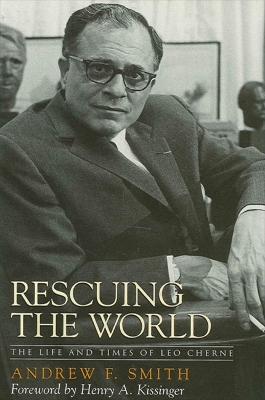 Book cover for Rescuing the World