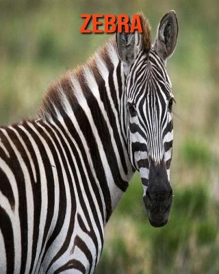 Book cover for Zebra