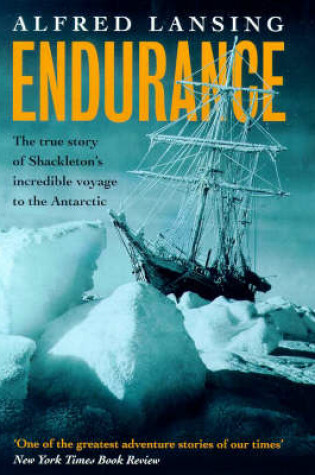Cover of "Endurance"