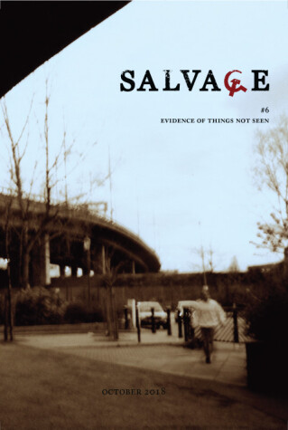 Book cover for Salvage #6