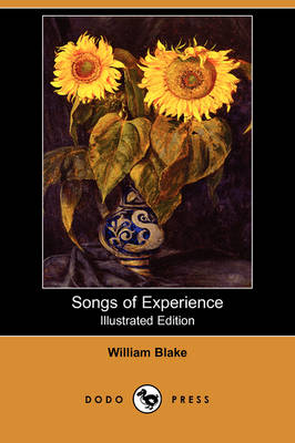 Book cover for Songs of Experience (Illustrated Edition) (Dodo Press)