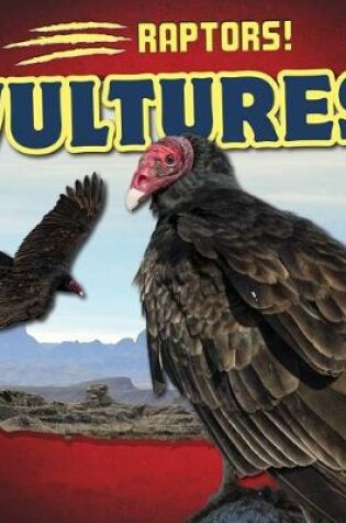 Cover of Vultures