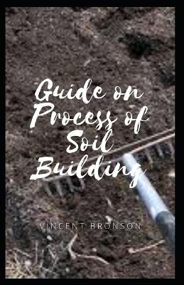 Book cover for Guide on Process of Soil Building