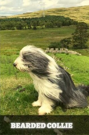 Cover of Bearded Collie