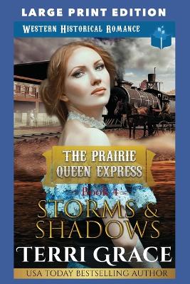 Cover of Storms & Shadows