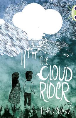 Book cover for Bug Club Independent Fiction Year 3 Brown B The Cloud Rider