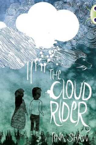 Cover of Bug Club Independent Fiction Year 3 Brown B The Cloud Rider