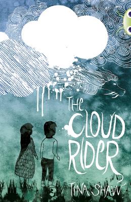 Book cover for Bug Club Independent Fiction Year 3 Brown B The Cloud Rider