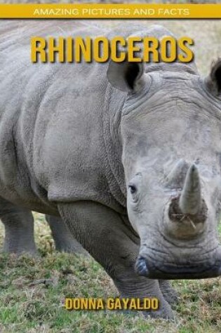 Cover of Rhinoceros