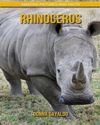 Book cover for Rhinoceros