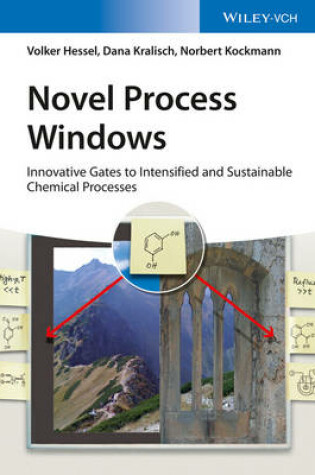 Cover of Novel Process Windows