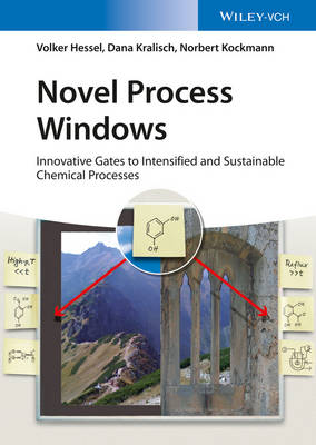 Book cover for Novel Process Windows