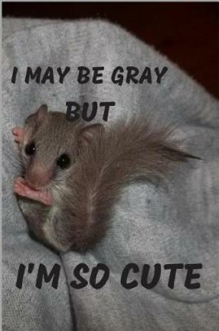 Cover of I May Be Gray But I'm So Cute