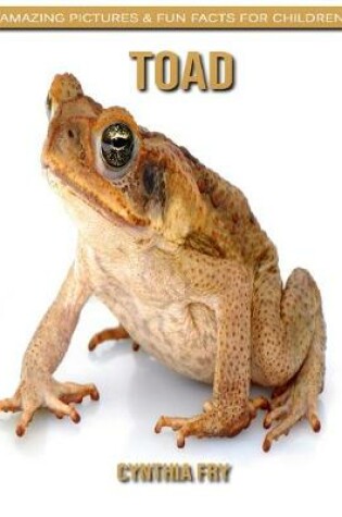 Cover of Toad