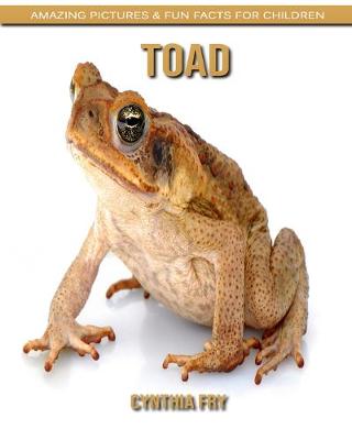 Book cover for Toad