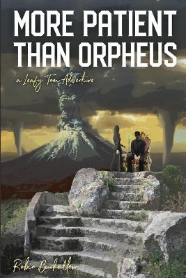 Book cover for More Patient Than Orpheus