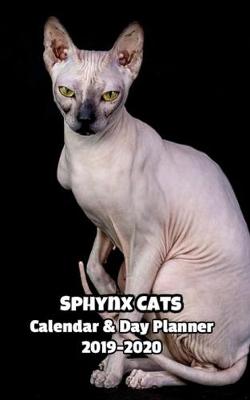 Book cover for Sphynx Cats Calendar & Day Planner 2019-2020