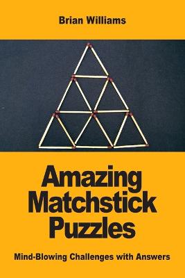 Book cover for Amazing Matchstick Puzzles